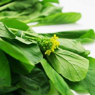 蔬菜名稱:【燎原特惠】新鮮菜芯綠色蔬菜綠色無公害蔬菜新鮮青菜順豐